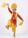 Punjabi Costume Bhangra For Boys