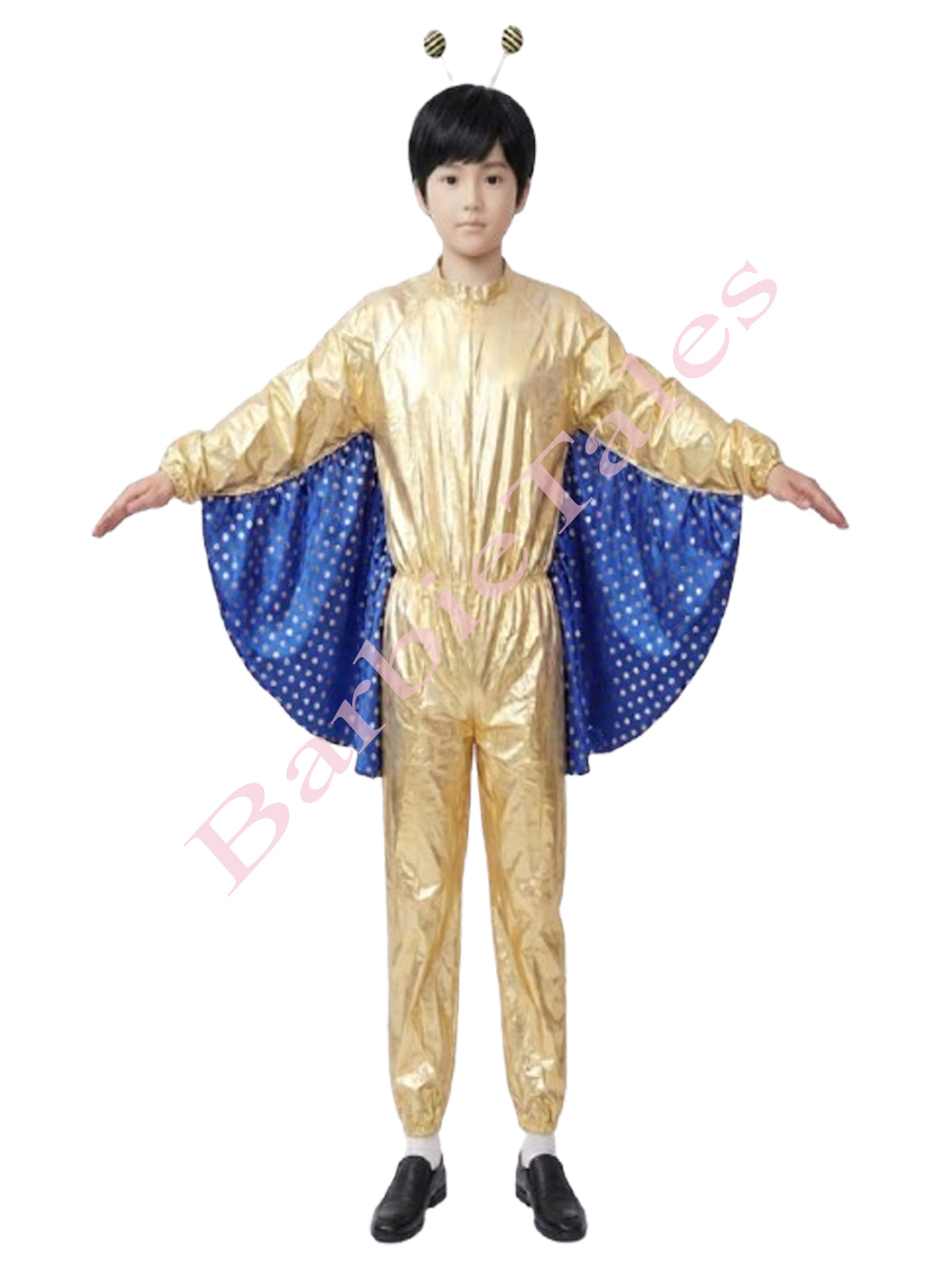 Butterfly Boy Kids Fancy Dress Costume