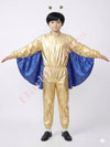 Butterfly Boy Kids Fancy Dress Costume