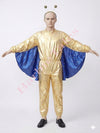 Butterfly Boy Kids Fancy Dress Costume