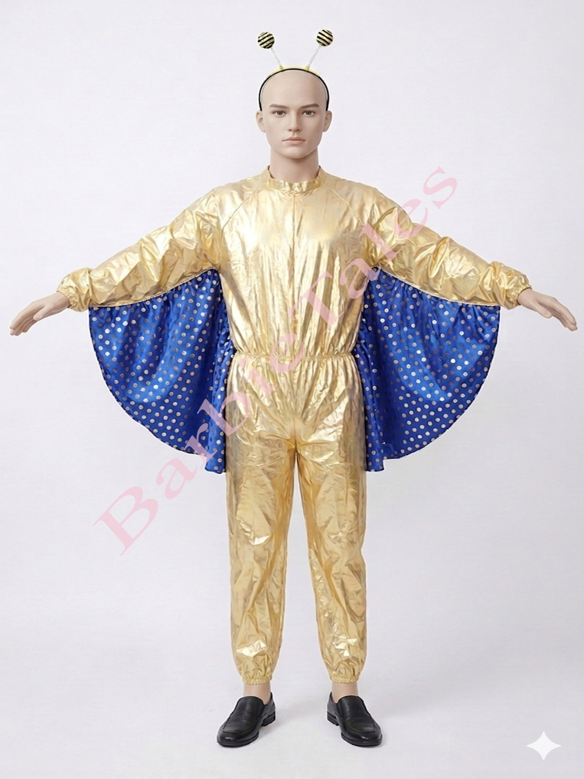 Butterfly Boy Kids Fancy Dress Costume