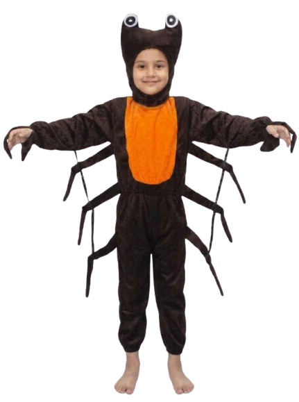 Crab Insect Kids Fancy Dress Costume