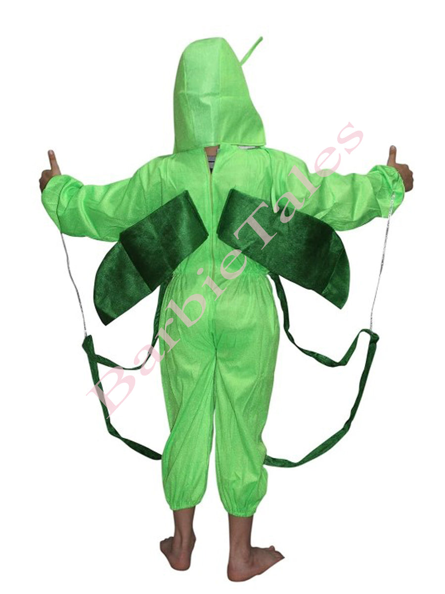 Grass Hopper Insect Kids Fancy Dress Costume