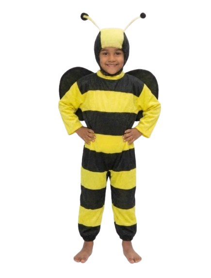 Honey Bee Black Insect Kids Fancy Dress Costume