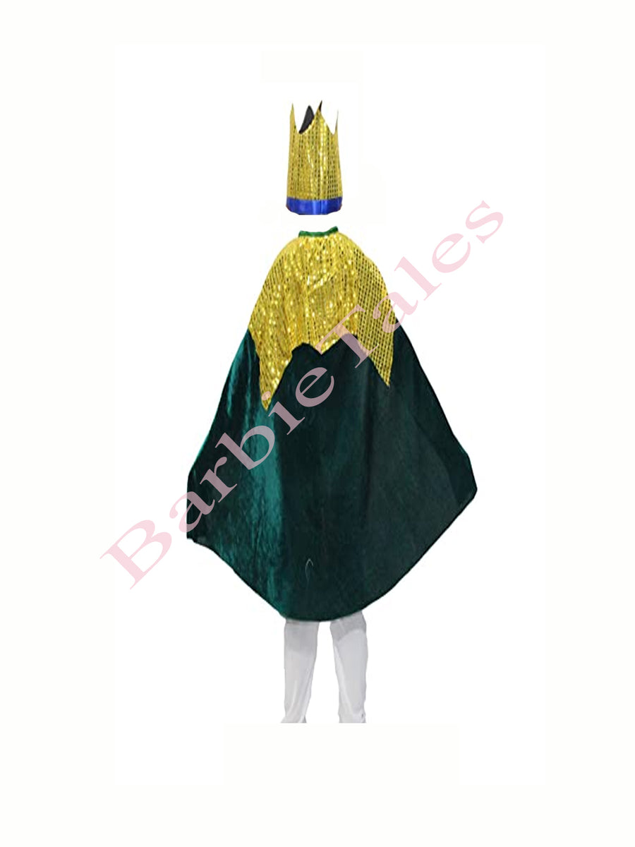 King Robe Green Kids Fancy Dress Costume