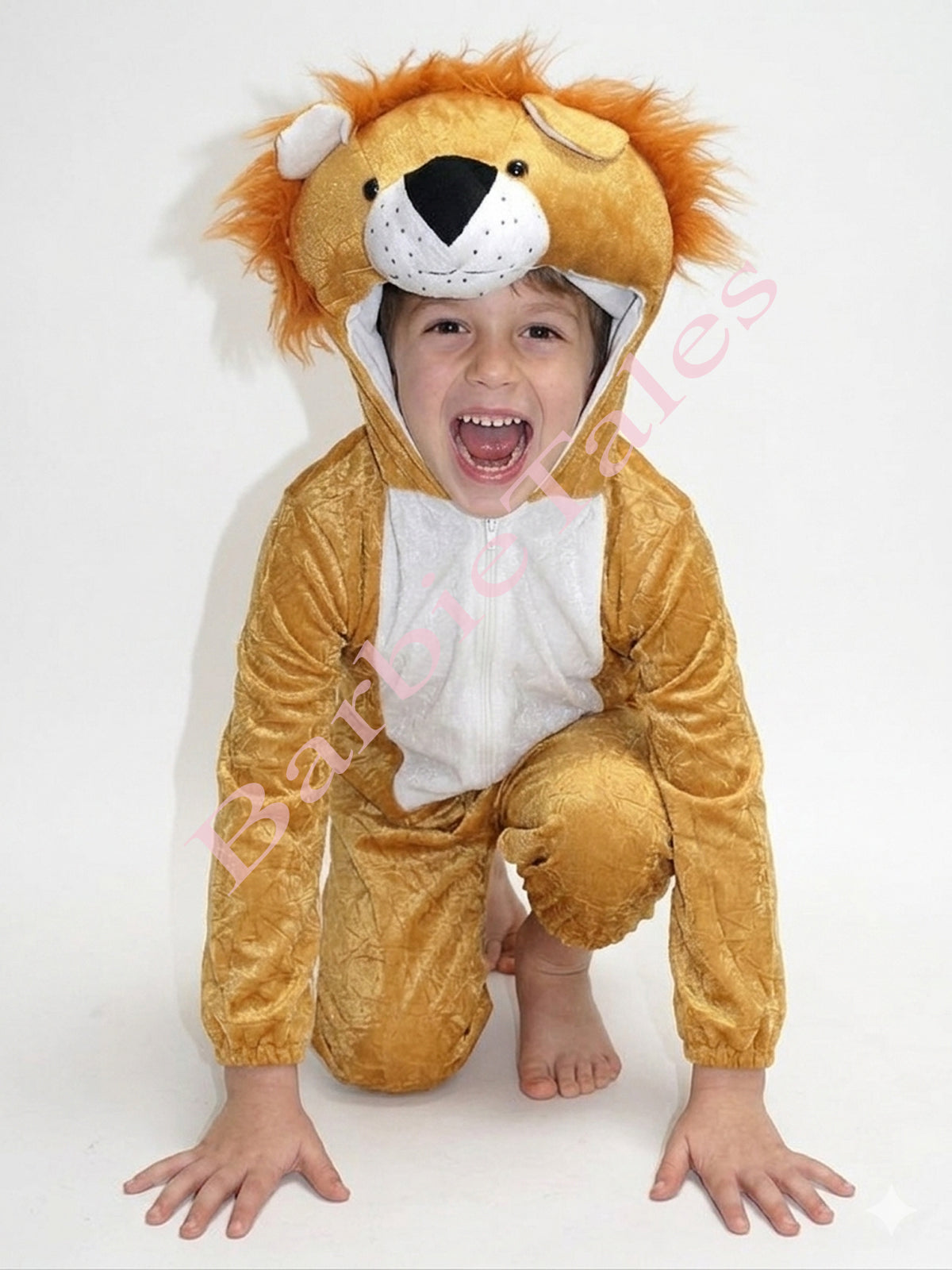 Lion Animal Kids Fancy Dress Costume