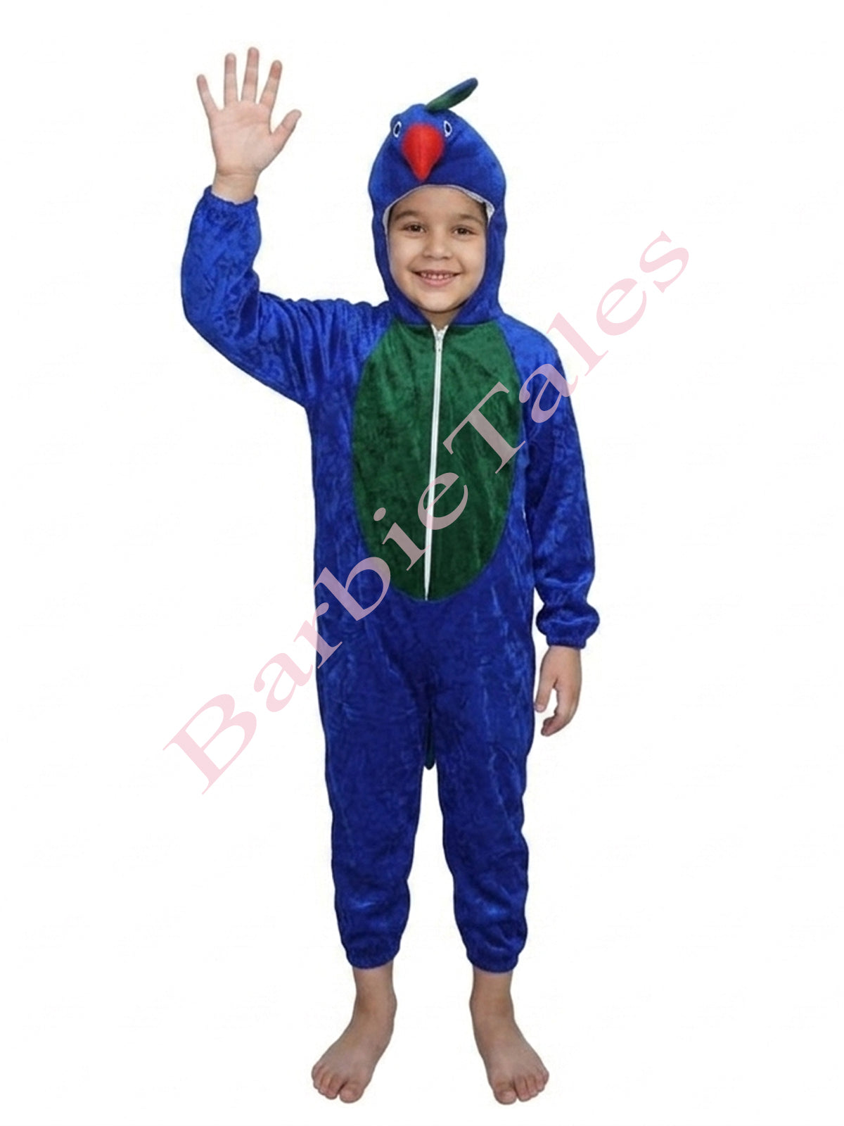 Peacock Bird Kids Fancy Dress Costume 