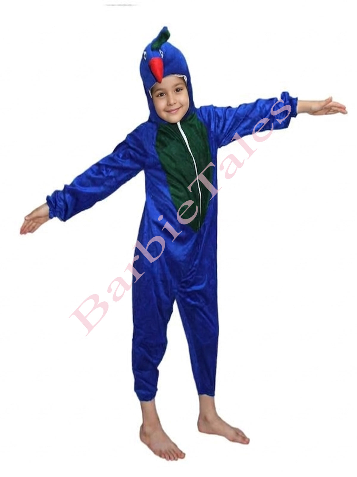 Peacock Bird Kids Fancy Dress Costume 