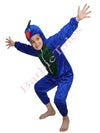 Peacock Bird Kids Fancy Dress Costume 
