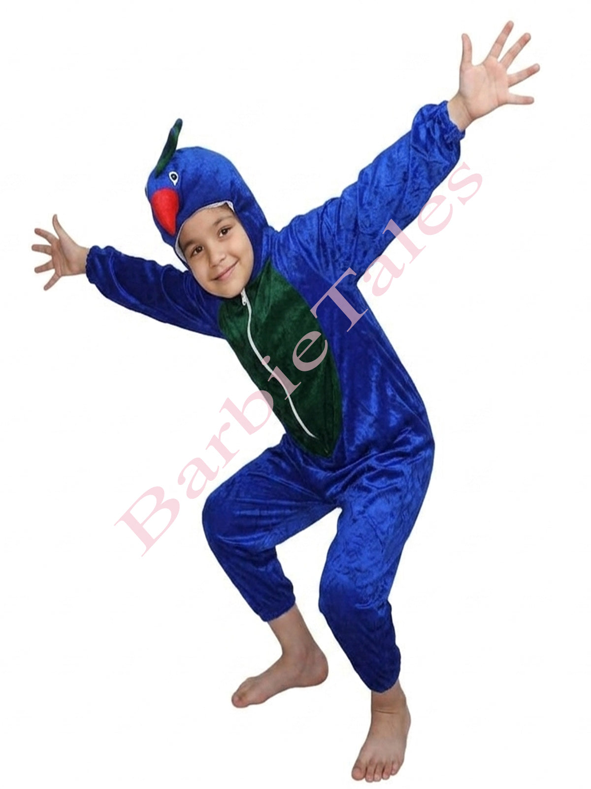 Peacock Bird Kids Fancy Dress Costume 