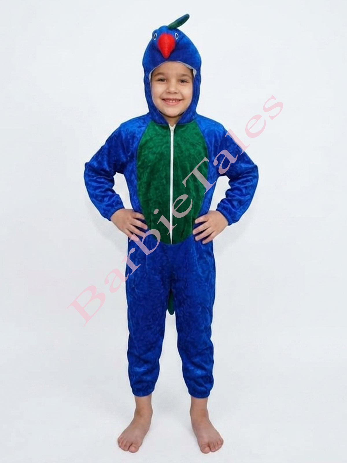Peacock Bird Kids Fancy Dress Costume 