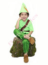 Peter Pan Kids Fancy Dress  Costume