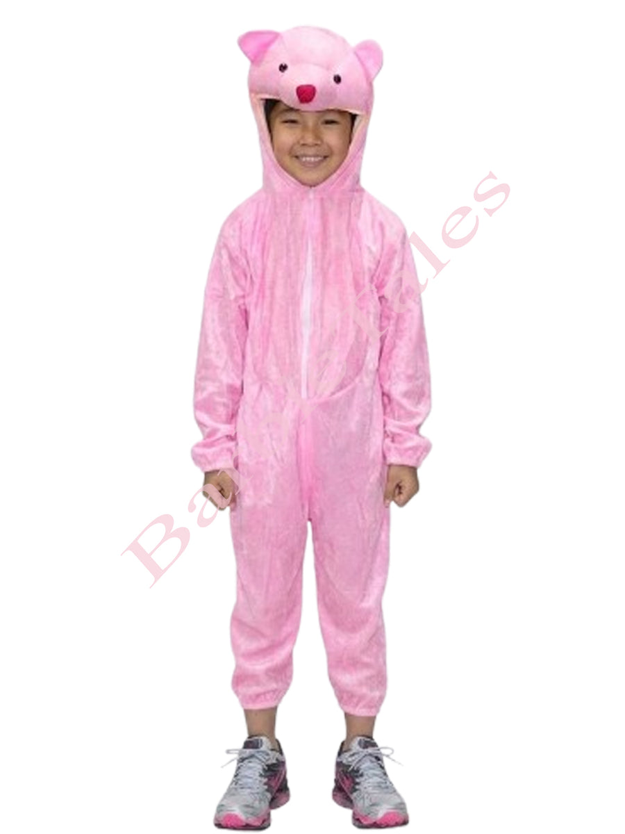 Teddy Bear  Kids Fancy Dress Costume