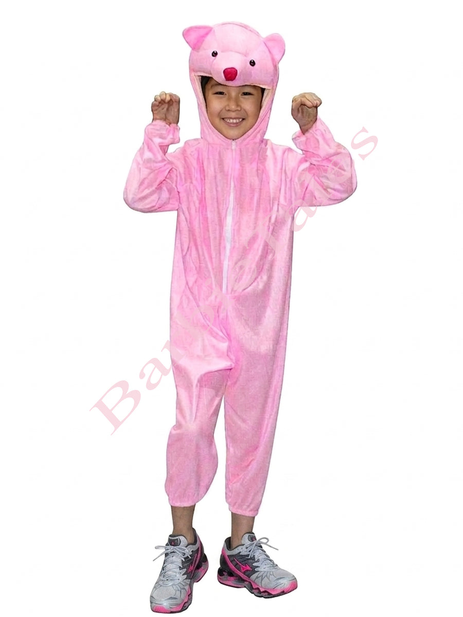 Teddy Bear  Kids Fancy Dress Costume