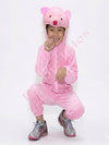 Teddy Bear  Kids Fancy Dress Costume