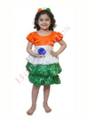 Tri Color Frock Fancy Dress