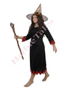 Witch Fancy Dress Halloween costume