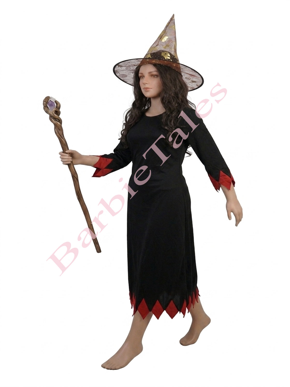 Witch Fancy Dress Halloween costume