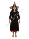 Witch Fancy Dress Halloween costume