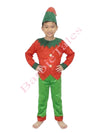 Elfs Fancy Dress  Costume For Kids