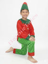 Elfs Fancy Dress  Costume For Kids