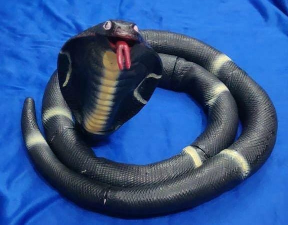 Scary Snake