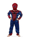 Spiderman Superhero Kids Fancy Dress Costume  C imported