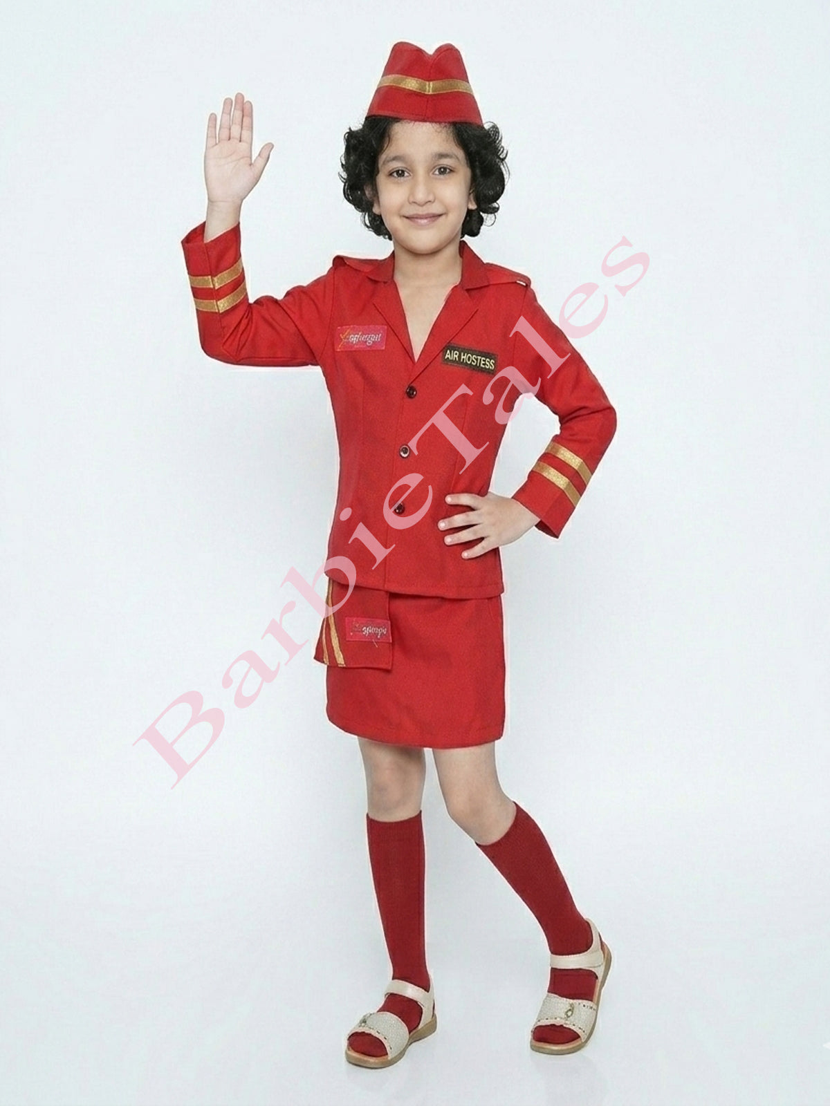 Air Hostess Fancy Dress
