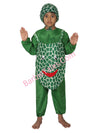 Pineapple Fruit Kids Fancy Dress Costume