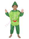 Capsicum  Vegetable Kids Fancy Dress Costume