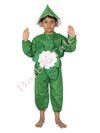 Cauliflower Phool Gobhi Vegetable Kids Fancy Dress Costume