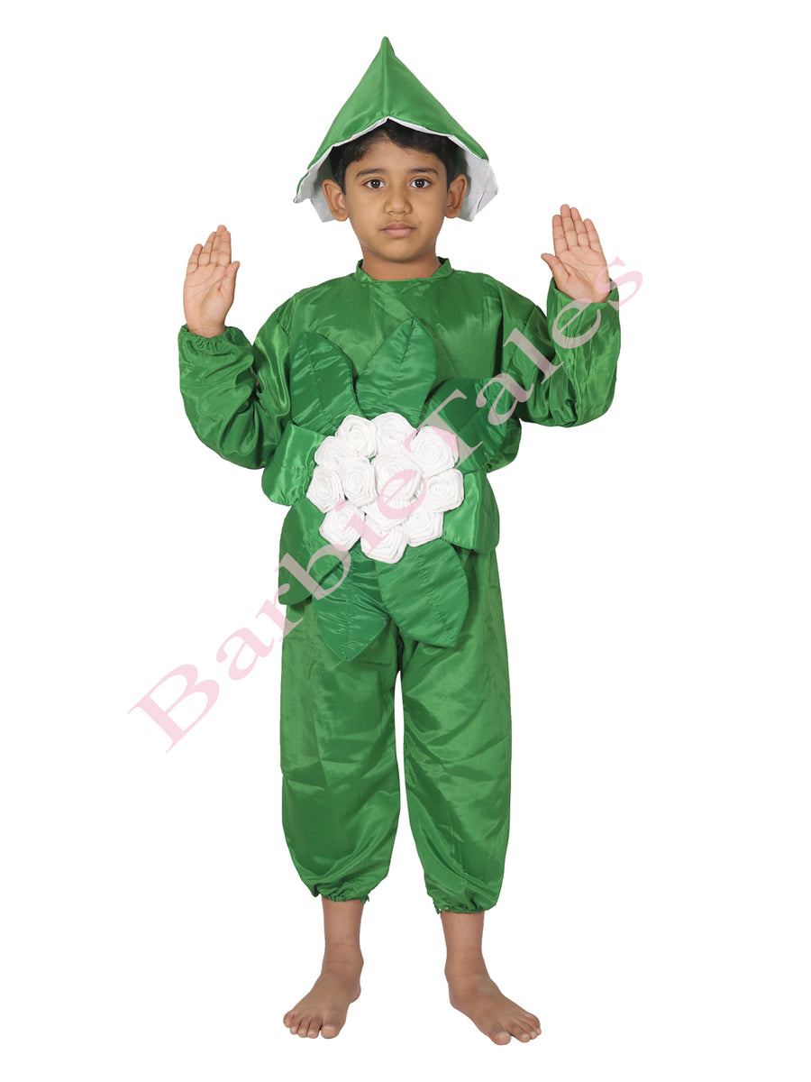 Cauliflower Phool Gobhi Vegetable Kids Fancy Dress Costume
