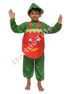 Tomato Vegetable Kids Fancy Dress Costume