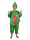 Watermelon Fruit Kids Fancy Dress Costume