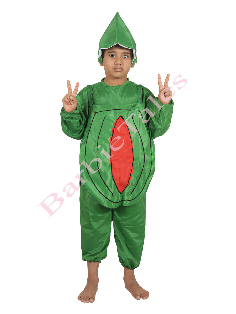 Watermelon Fruit Kids Fancy Dress Costume