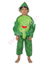 Cabbage Vegetable Kids Fancy Dress Costume