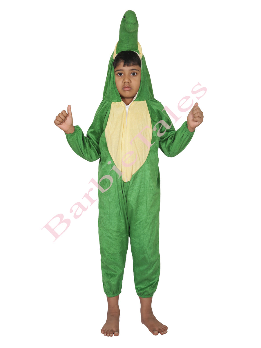 Tortoise Water Animal Kids Fancy Dress Costume