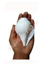 shri Krishna Blowing Shankh Conch Sea Shell  5-6 Inch For  Kids And Adults