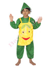 Mango Fruit Kids Fancy Dress Costume