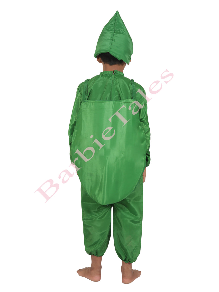 Watermelon Fruit Kids Fancy Dress Costume