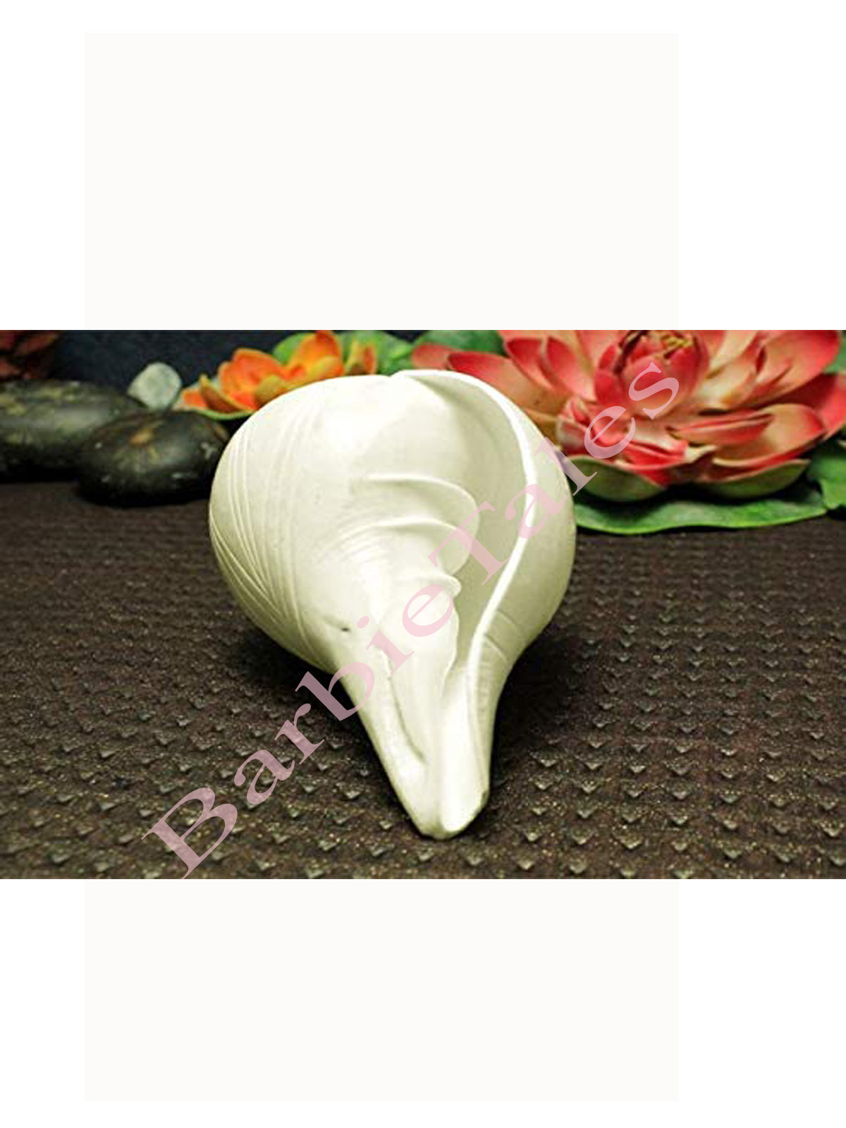 shri Krishna Blowing Shankh Conch Sea Shell  5-6 Inch For  Kids And Adults