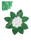 Cauliflower Phool Gobhi Vegetable Kids Fancy Dress Costume