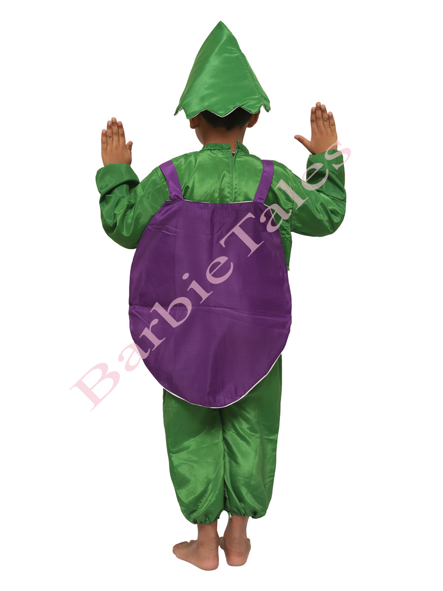 Brinjal Eggplant Baingan Vegetable Kids Fancy Dress Costume