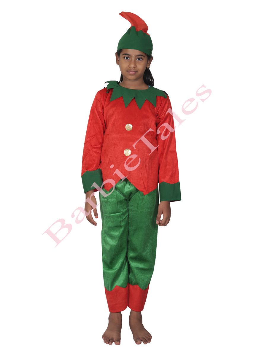 Elfs Fancy Dress  Costume For Kids