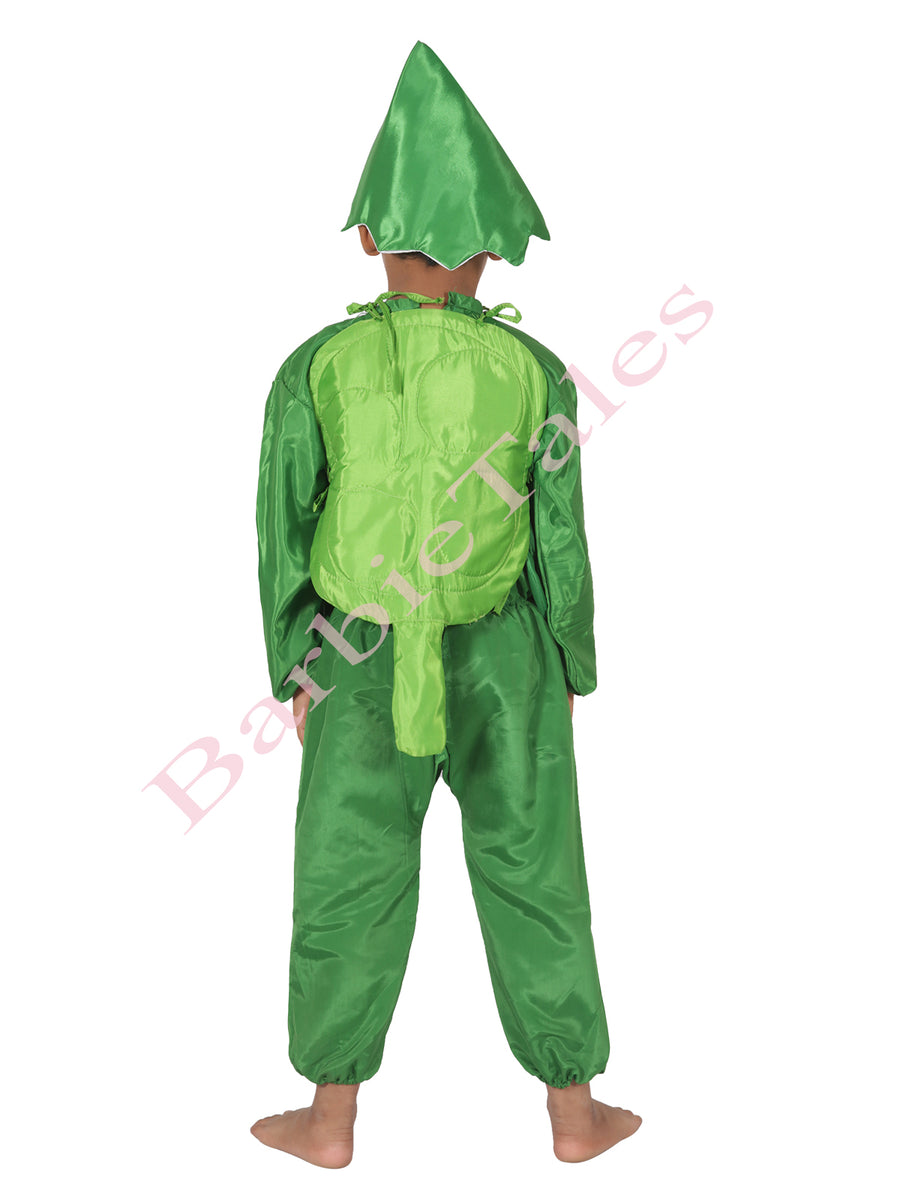 Cabbage Vegetable Kids Fancy Dress Costume