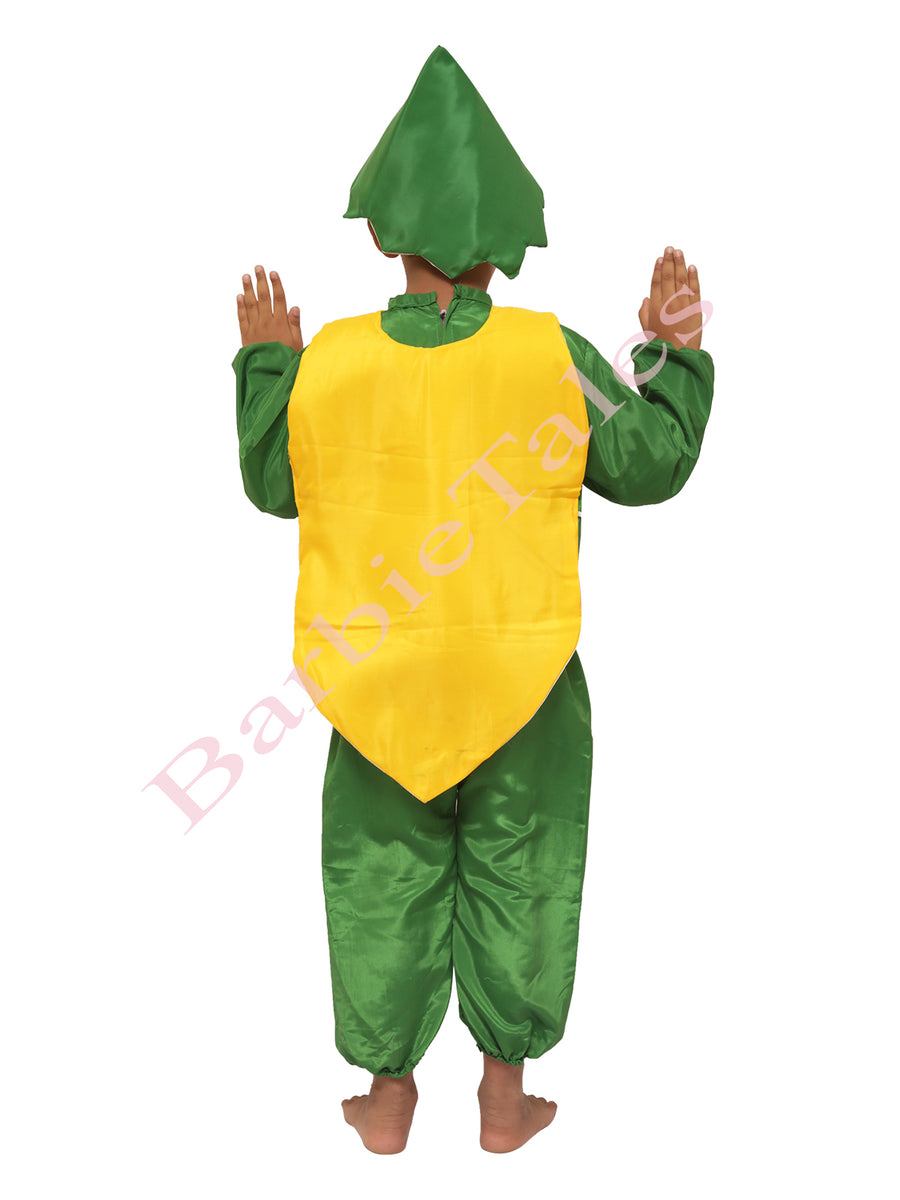 Papaya Fruit Kids Fancy Dress Costume