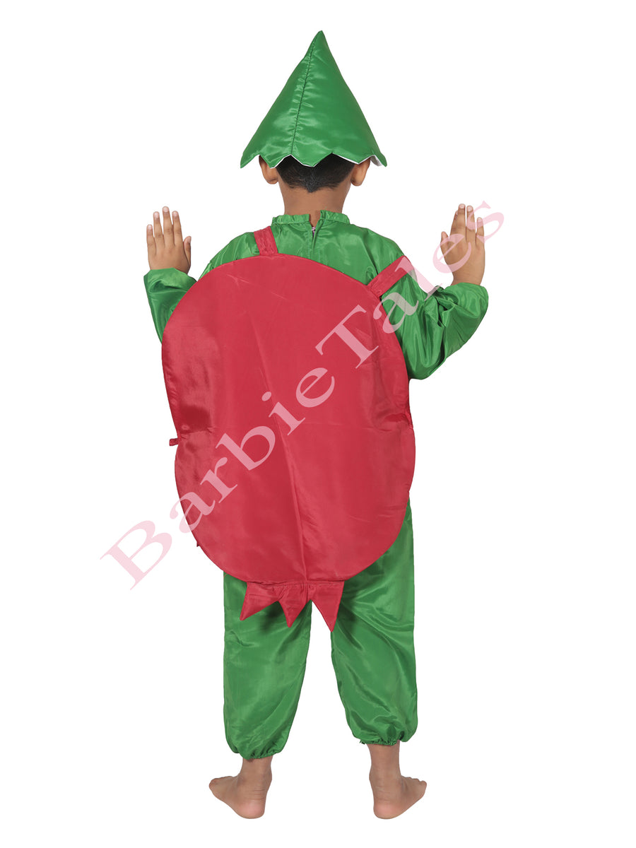 Pomegranate Anar Fruit Kids Fancy Dress Costume