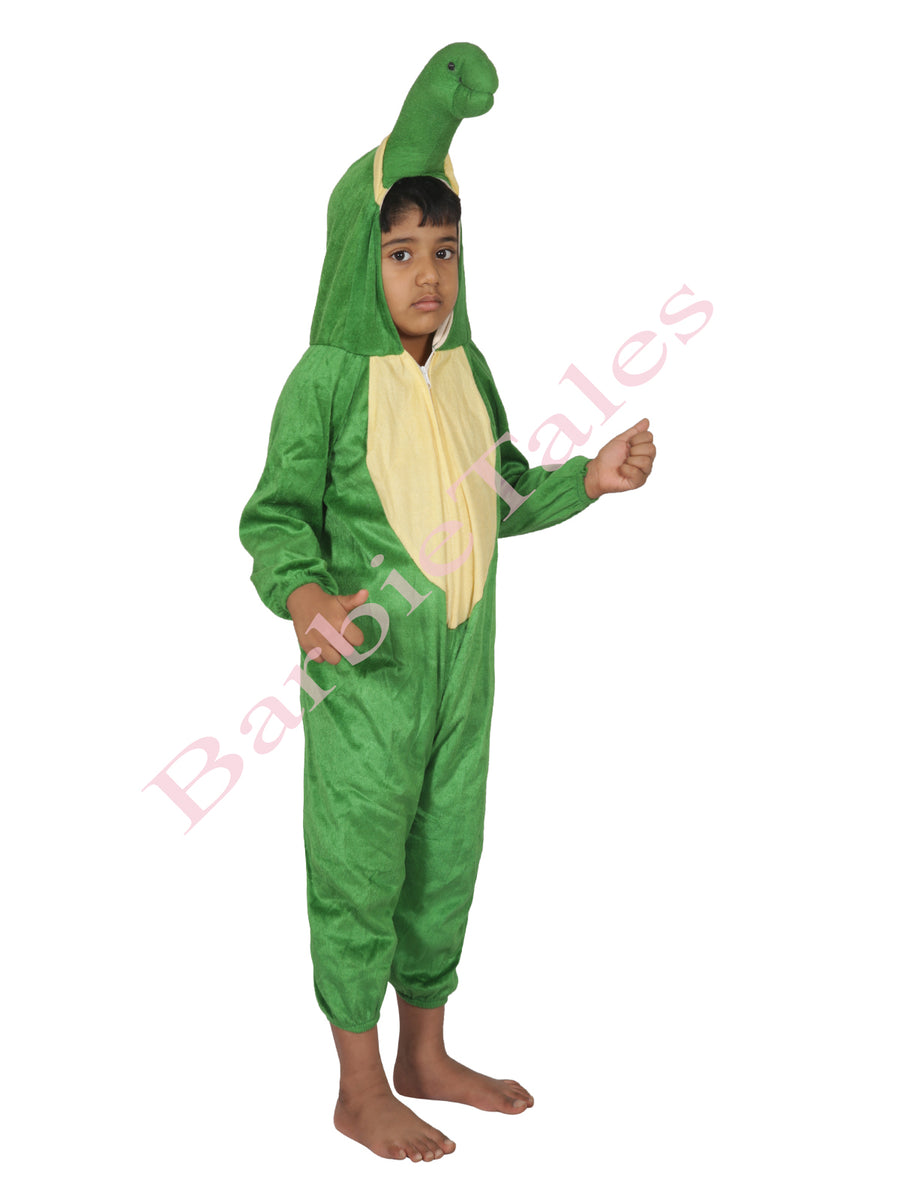 Tortoise Water Animal Kids Fancy Dress Costume