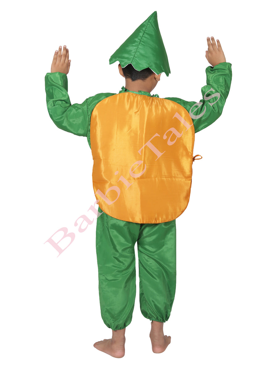 Chiku Sapota Fruit Kids Fancy Dress Costume