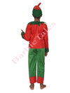 Elfs Fancy Dress  Costume For Kids